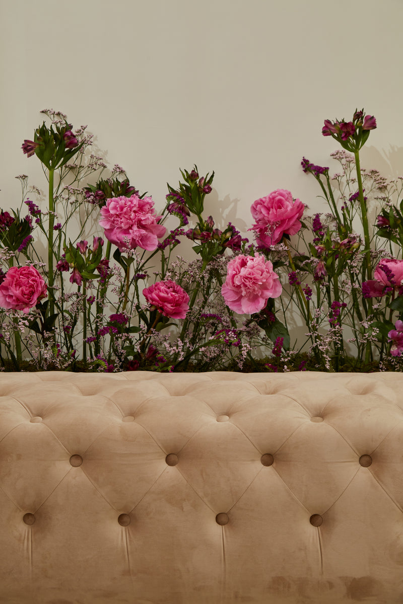 Milcha / Engagement stands