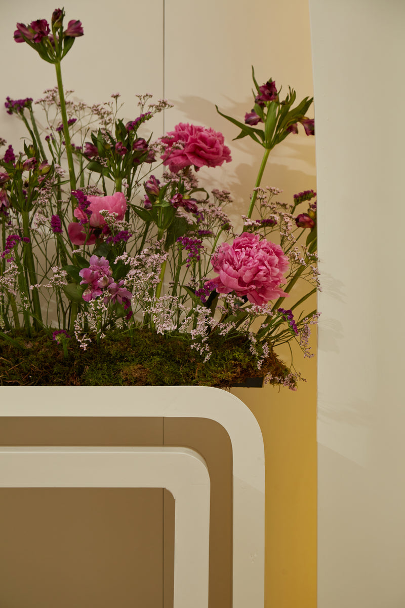 Milcha / Engagement stands